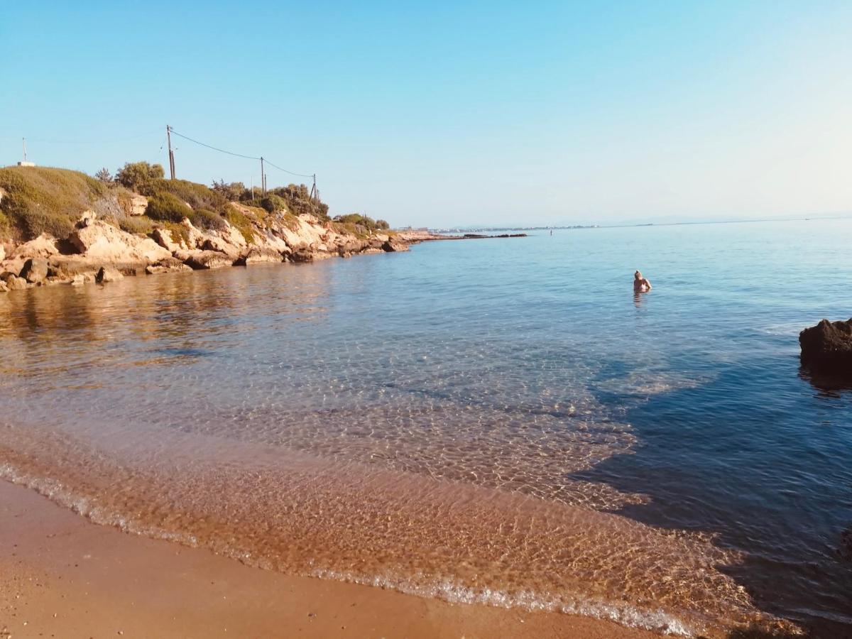 아르테미다 Lux House Next To The Airport Of Athens. Transport 24H 빌라 외부 사진